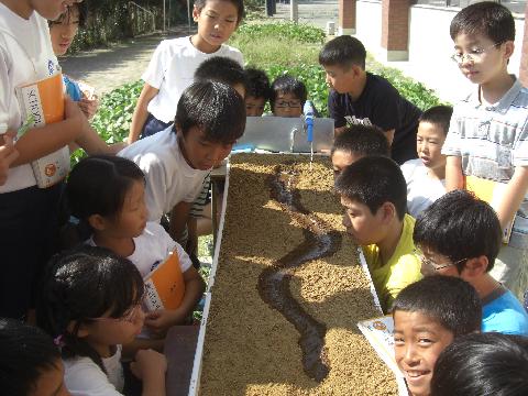 ５年生 理科 流れる水のはたらき 授業 三島市立北小学校